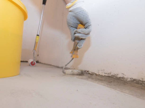 Best Commercial Pest Control  in Basile, LA